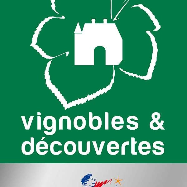 Destination Vignobles - Angers KO
